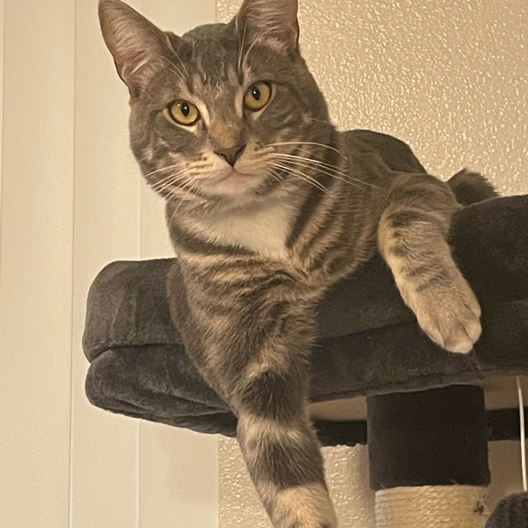 Meet your Posher, Valarie - Picture 7 of 7